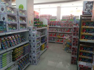 携手淘淘虎玩具 开启儿童早教玩具事业新篇章